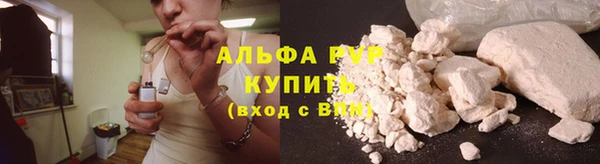 СК Козельск
